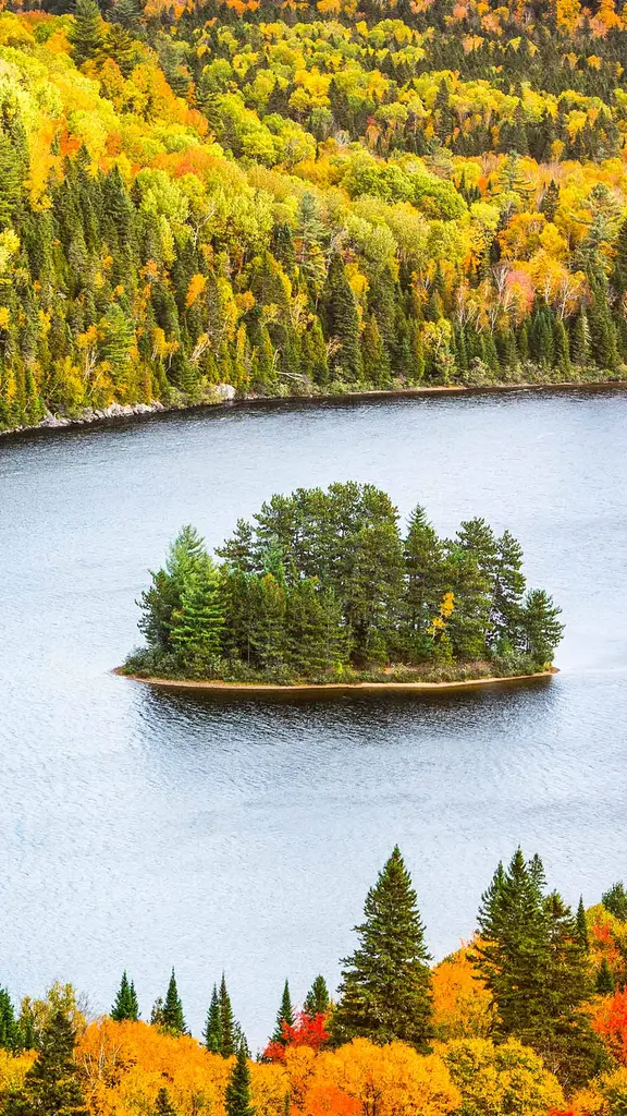 拉莫里斯国家公园中的Wapizagonke湖区，加拿大魁北克
