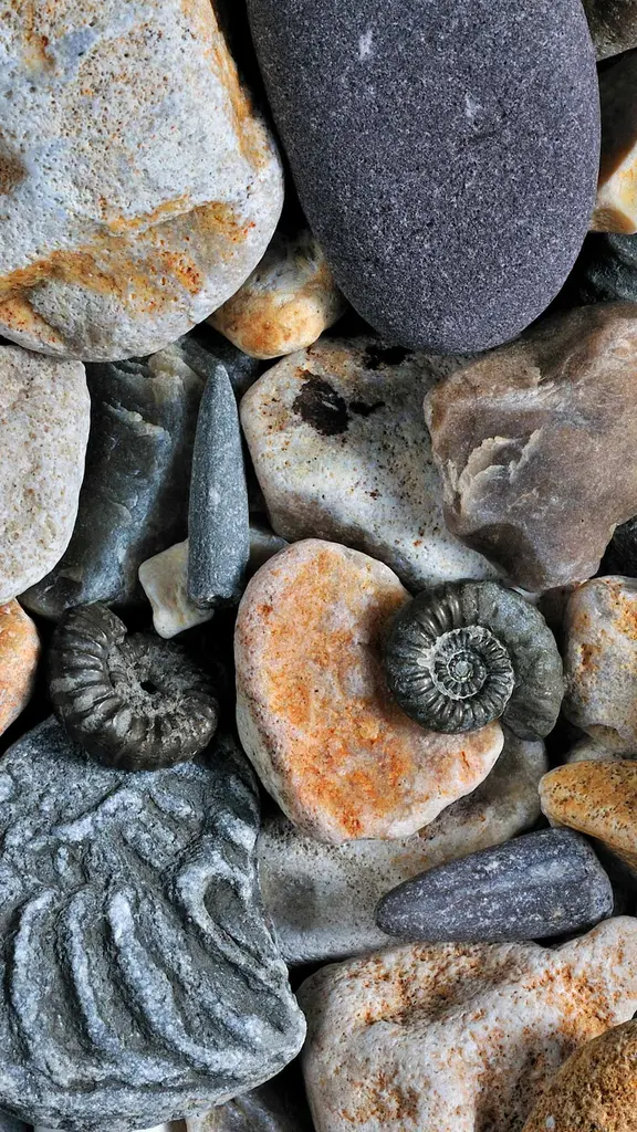 Descobrindo mist&eacute;rios antigos