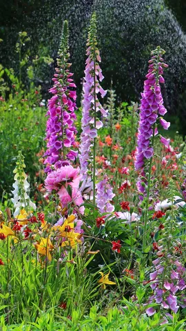 Mulch ado about gardening