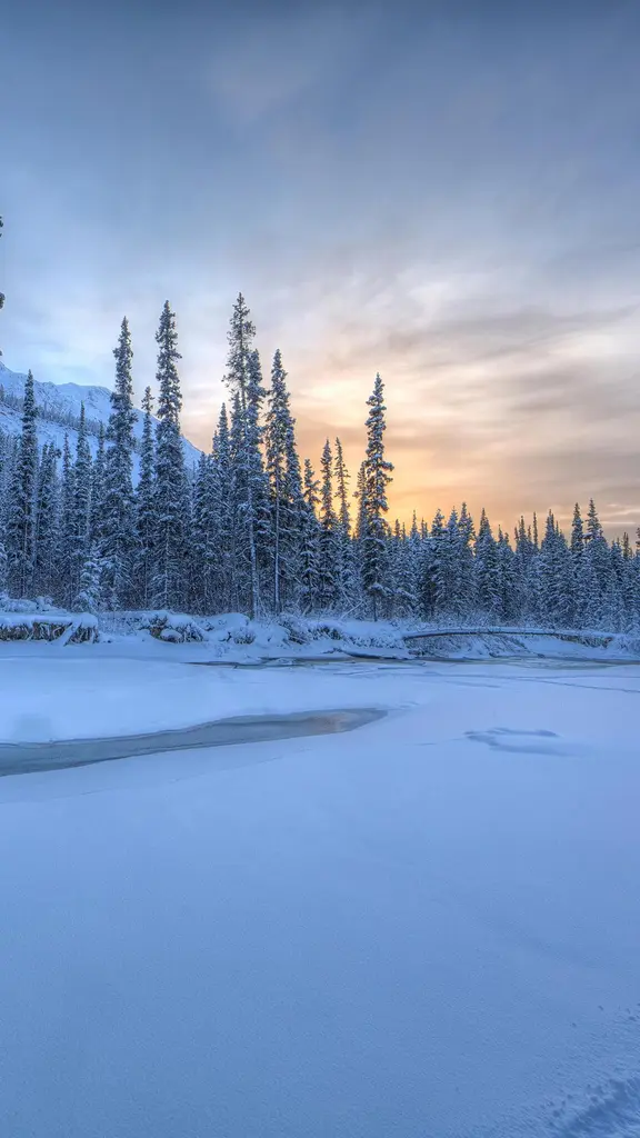 Are there any visits from Aurora yet?