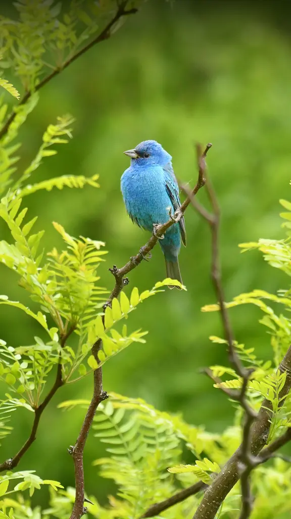 Tweeting 'bon voyage'