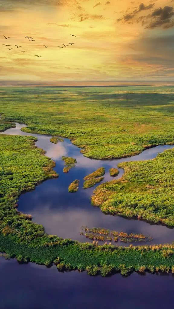 Aerial view of Everglades National Park, Florida, United States
