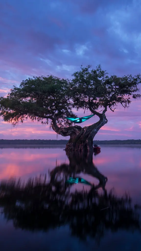 Tumbado a la bartola