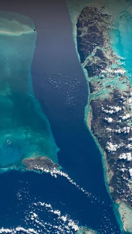 Un c&aacute;lido y azul chapuz&oacute;n