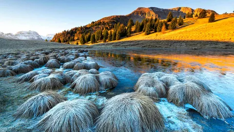 Una delizia sotto ogni aspetto!