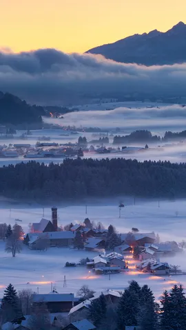 Wo die Stille den Nebel umarmt