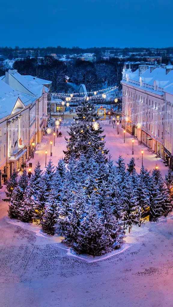 Une nuit magique vous attend !