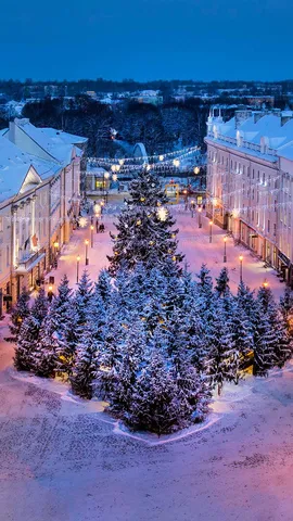 Une nuit magique vous attend !