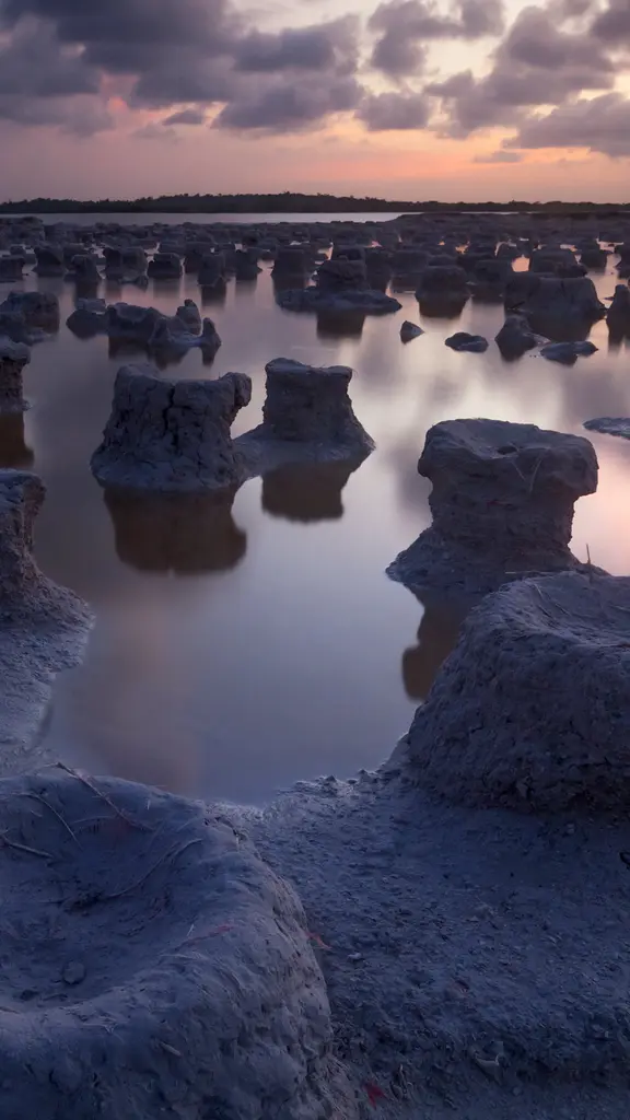 Naturaleza y sostenibilidad