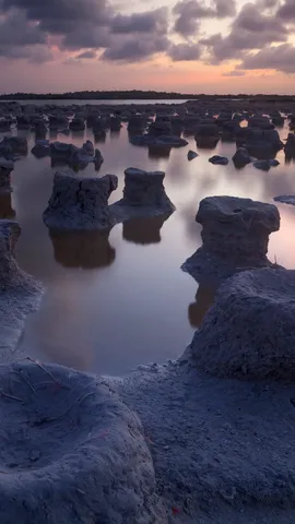 Onde a natureza encontra a sustentabilidade