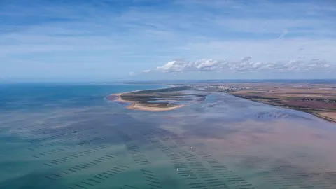 Une histoire de gastronomie &agrave; la fran&ccedil;aise