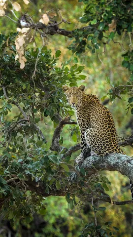明日は世界野生生物の日