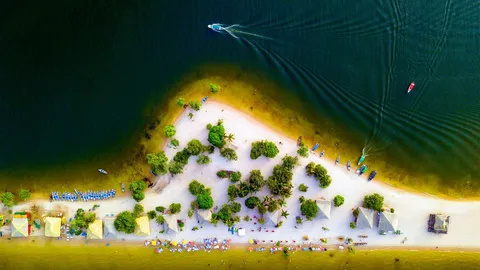 O Caribe Amaz&ocirc;nico