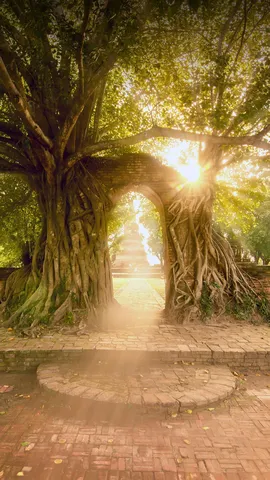 今日は円周率の日