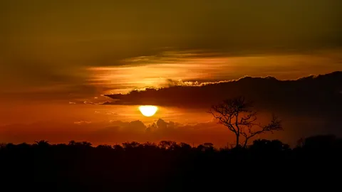 As ra&iacute;zes profundas da resist&ecirc;ncia