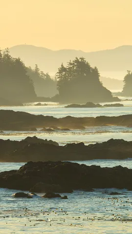 Big splashes, bigger journeys