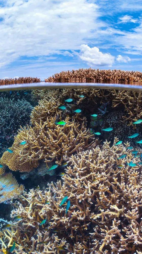 E guardo il mondo da un obl&ograve;...