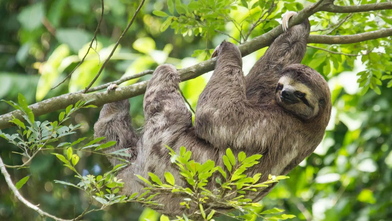No embalo do conhecimento