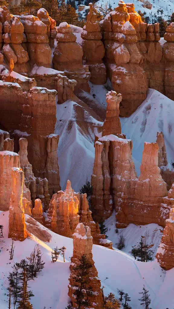 Die W&auml;chter des Canyons