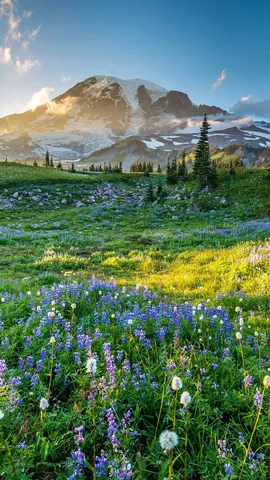 Come Rainier or shine