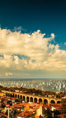 Issate l&rsquo;albero di mezzana!