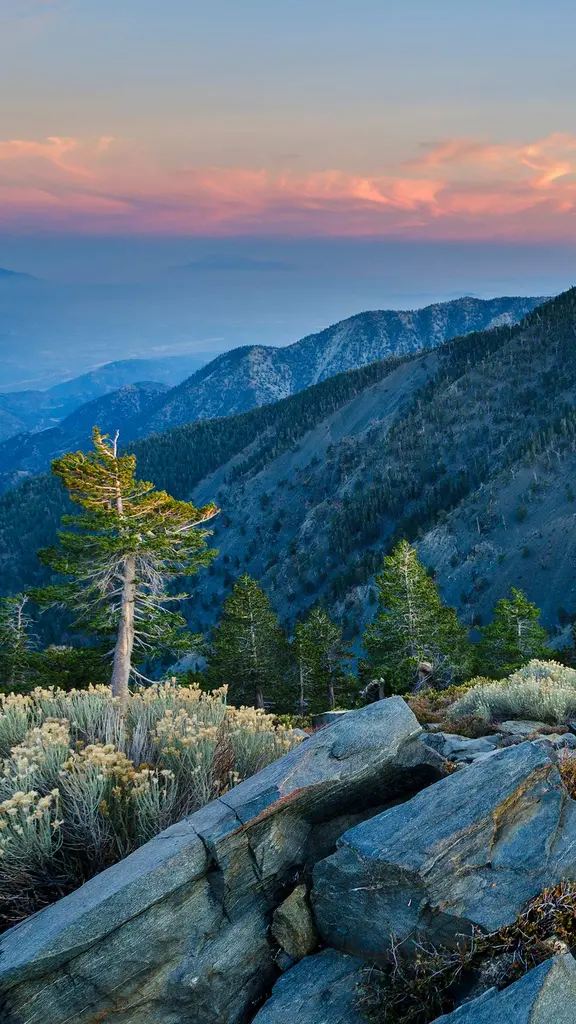 Summit of Pine Mountain, Angeles National Forest, California, United States