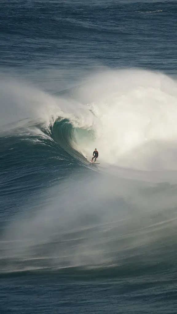 Where there's a will, there's a wave