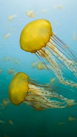 An illuminated bloom