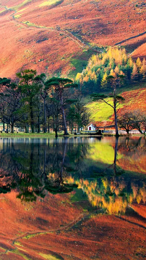 Realt&agrave; su natura?