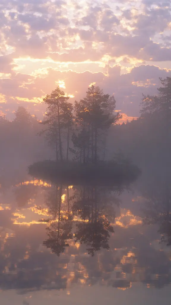 Knuth&ouml;jdsmossen nature reserve, Sweden