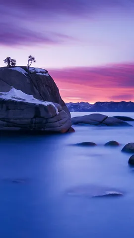 盆栽のように見える岩