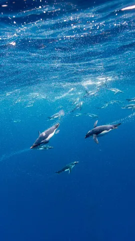 Ist nicht doch alles Gold was gl&auml;nzt?