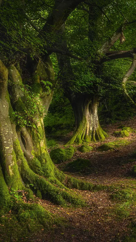 Le radici profonde...