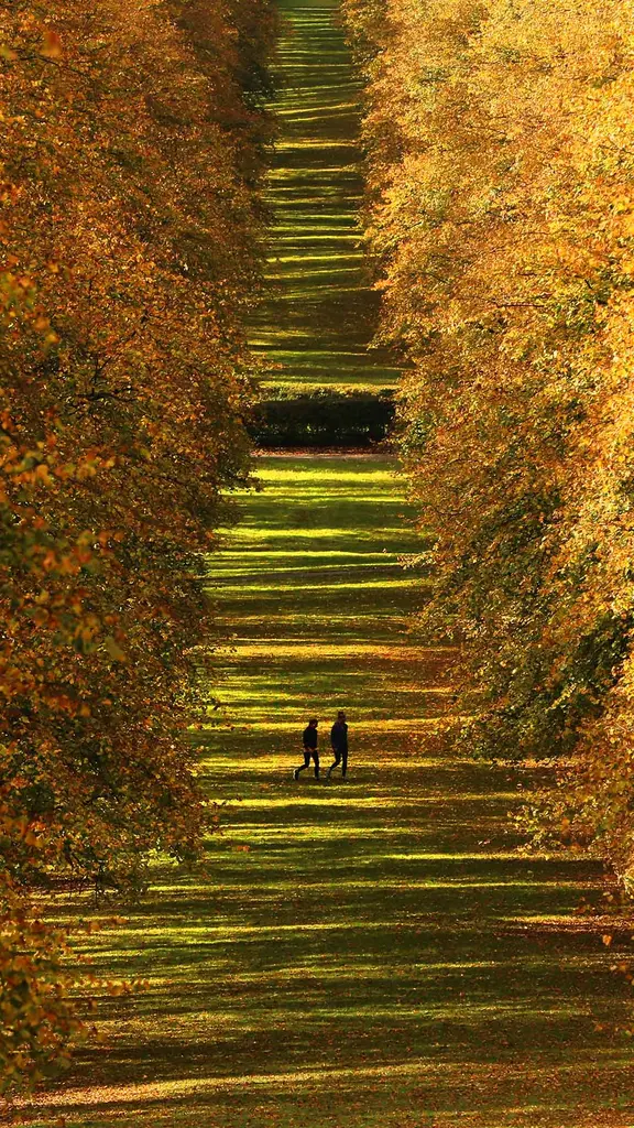 A leaf stomper's paradise