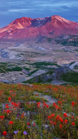 40年的休养生息