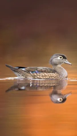 下一站：墨西哥！