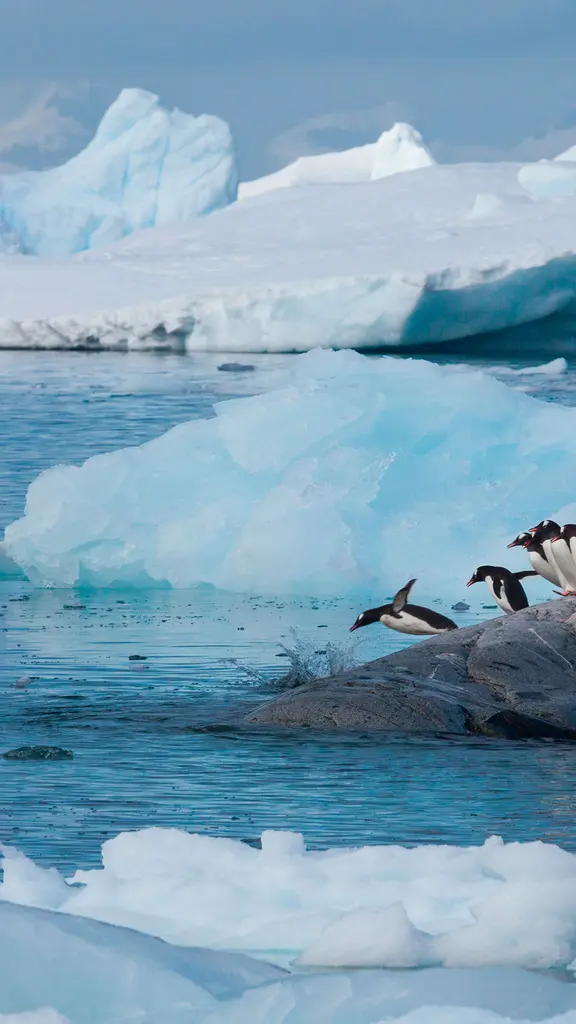 Aqui est&aacute; como se faz!