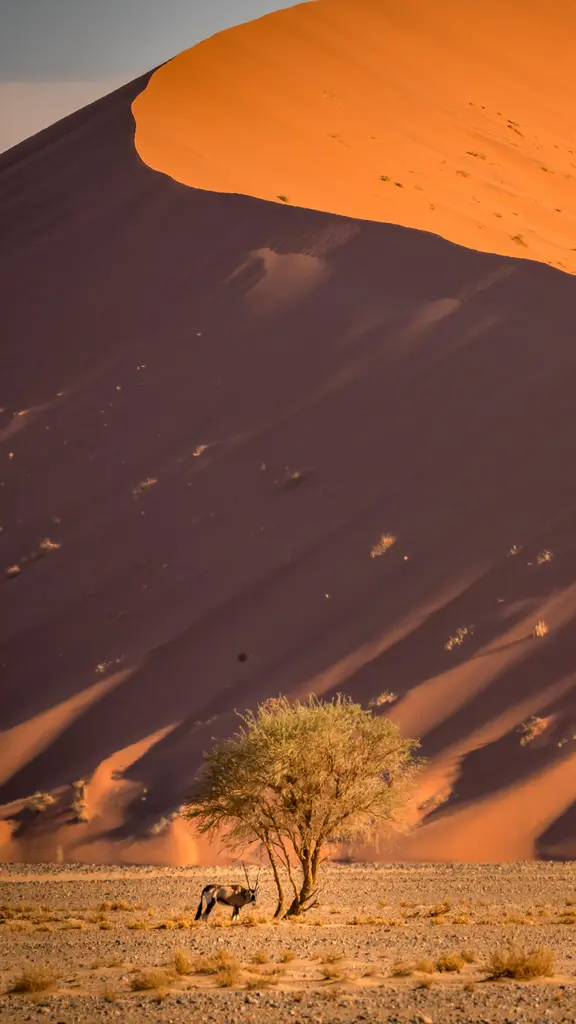 Horizontes em movimento