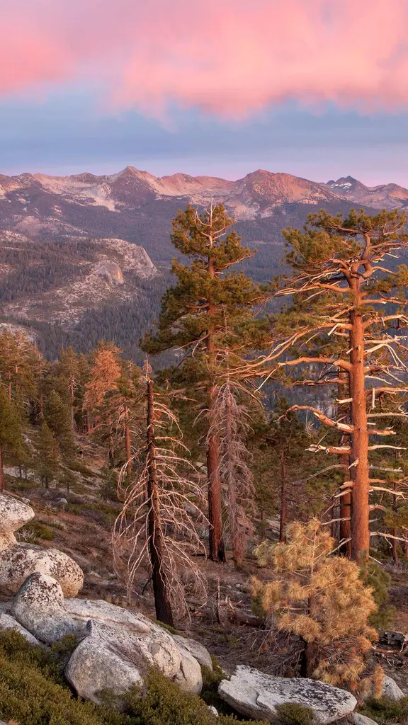 Clark Range, Sierra Nevada, Yosemite National Park, California, United States