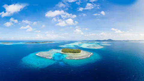 今日は国際熱帯デー