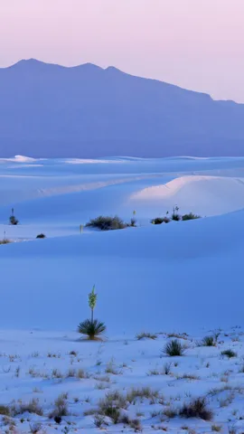 世界最大的石膏沙漠