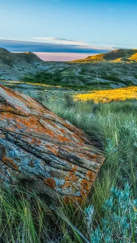 遮るものがない広大な草原