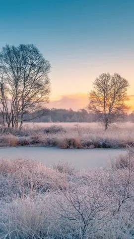 Eisige Sch&ouml;nheit