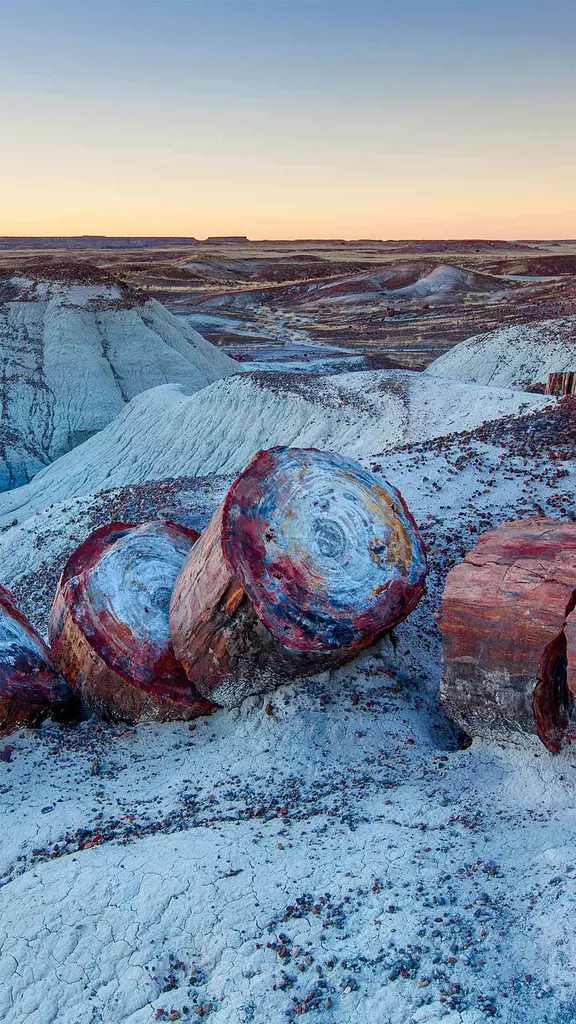 有着丰富石化木材的石化林国家公园，美国亚利桑那州