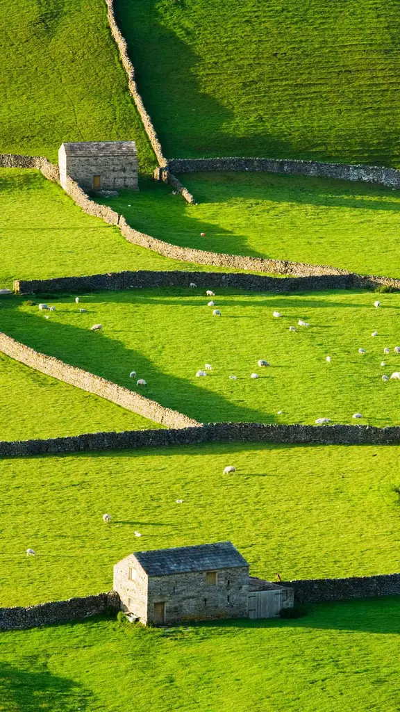 Du vert &agrave; perte de vue