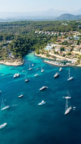 &iexcl;Velero a la vista!