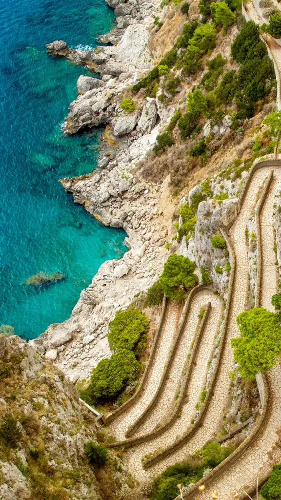 Slow and steady climbs the cliff