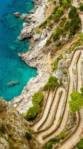 Slow and steady climbs the cliff