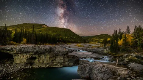 The Milky Way takes a bow over Elbow River