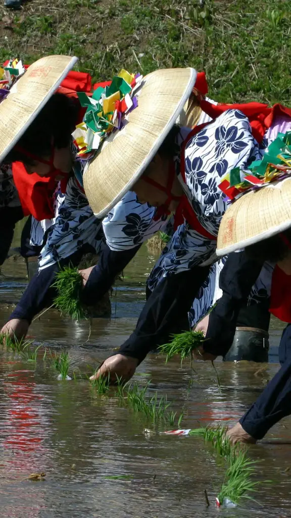 苗を植える早乙女手代